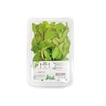 Grupo Menta Formación: Análisis y Comparativa de los Mejores Productos de Estética en el Mercado